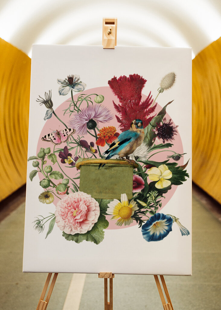 Colorful Bird Perched On A Box