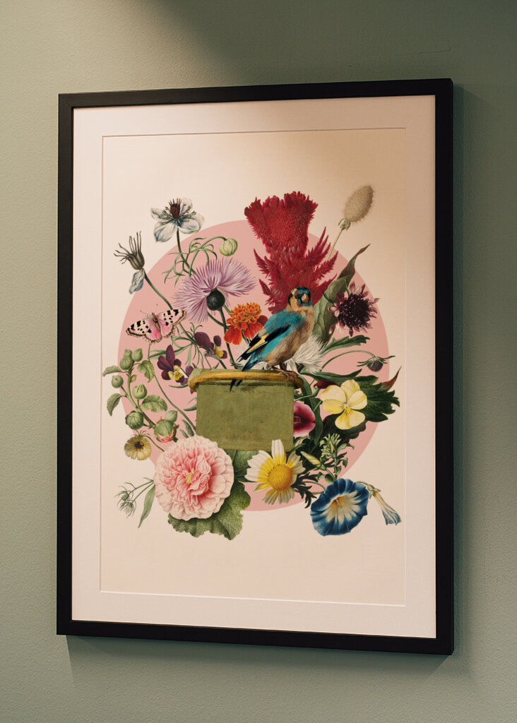 Colorful Bird Perched On A Box