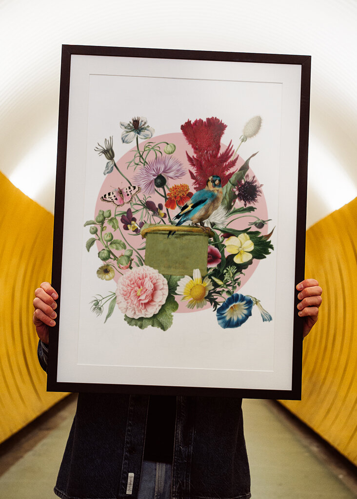 Colorful Bird Perched On A Box