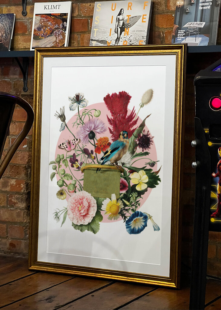 Colorful Bird Perched On A Box