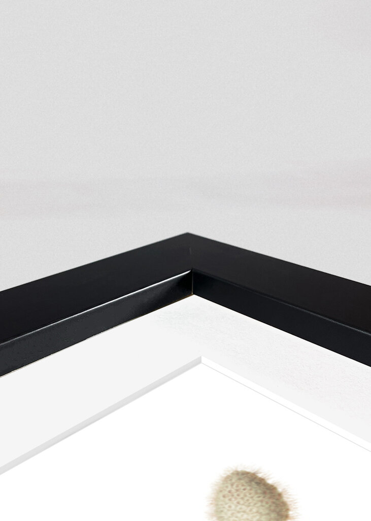 Colorful Bird Perched On A Box