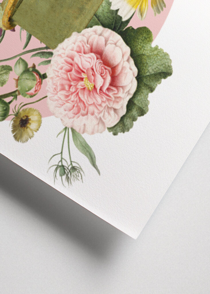 Colorful Bird Perched On A Box