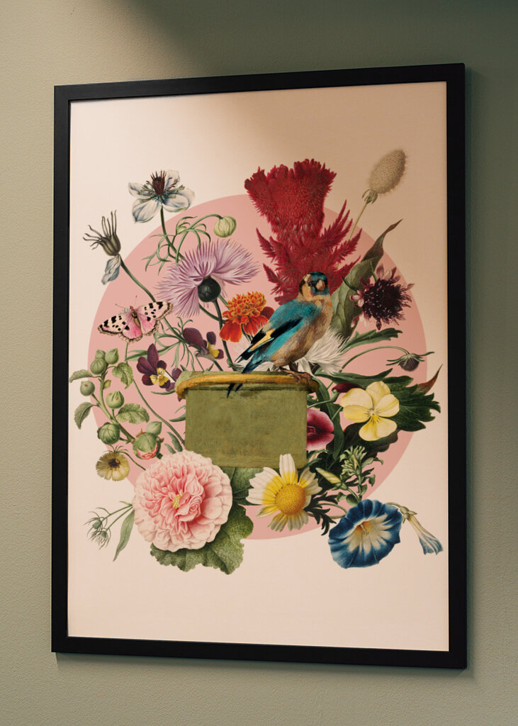 Colorful Bird Perched On A Box