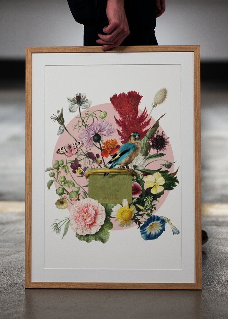 Colorful Bird Perched On A Box