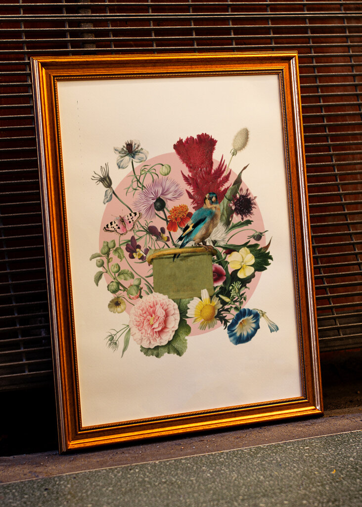 Colorful Bird Perched On A Box