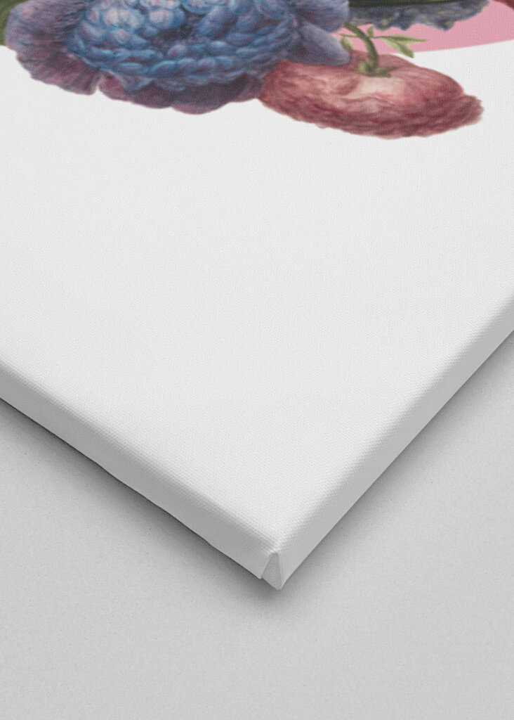 Colorful Bird Perched On A Box