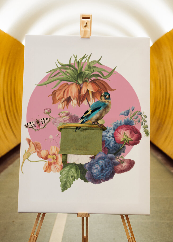 Colorful Bird Perched On A Box