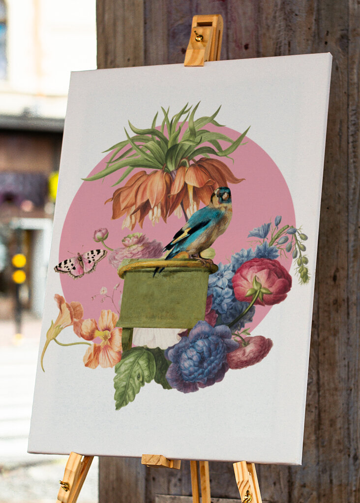 Colorful Bird Perched On A Box