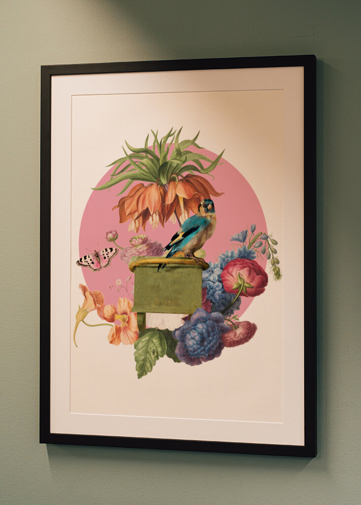 Colorful Bird Perched On A Box