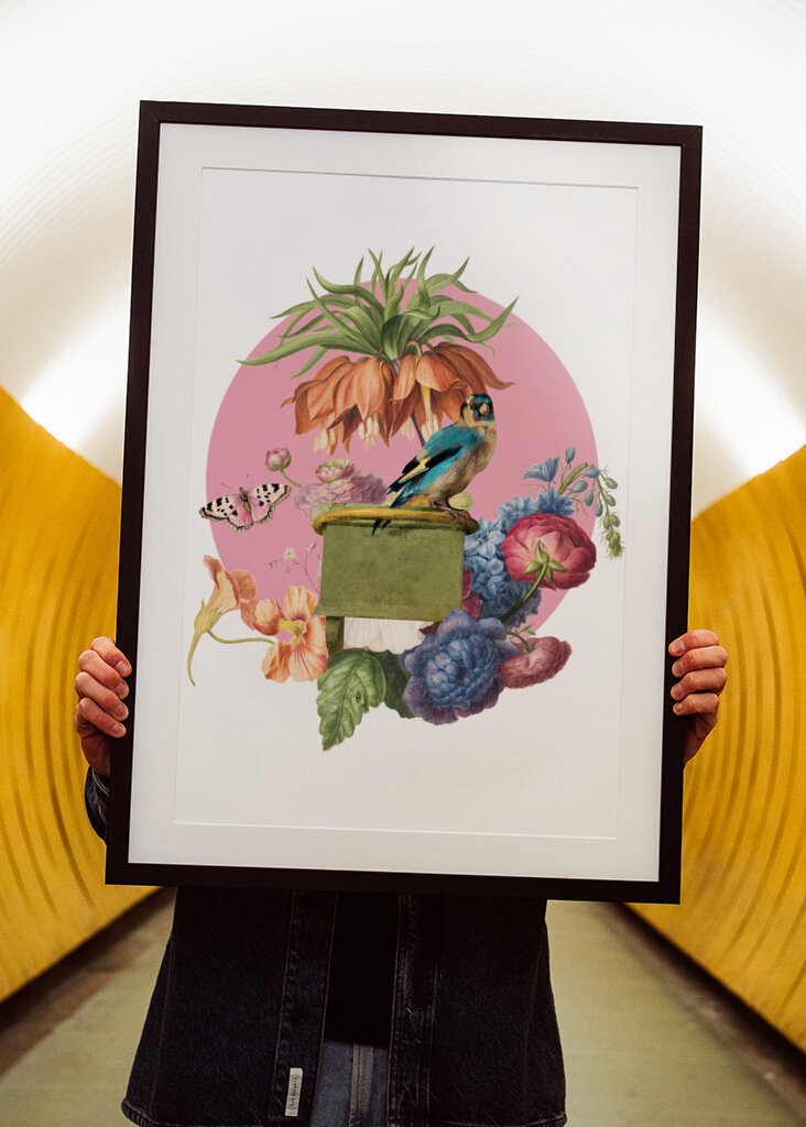 Colorful Bird Perched On A Box