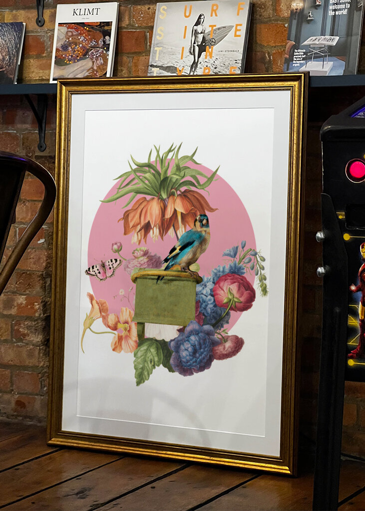 Colorful Bird Perched On A Box