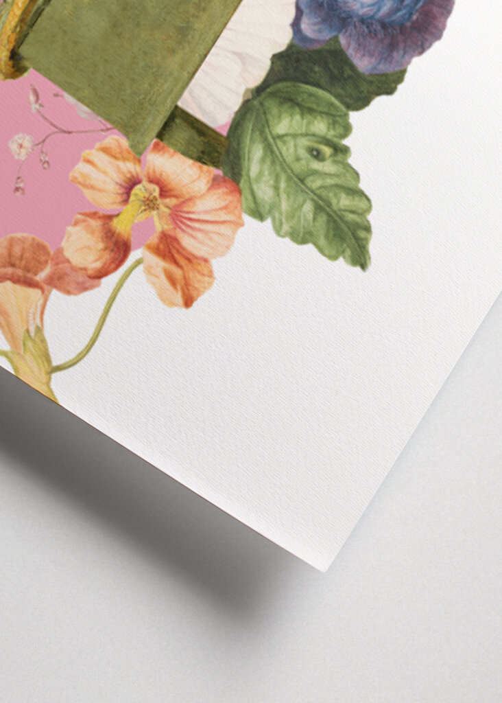 Colorful Bird Perched On A Box