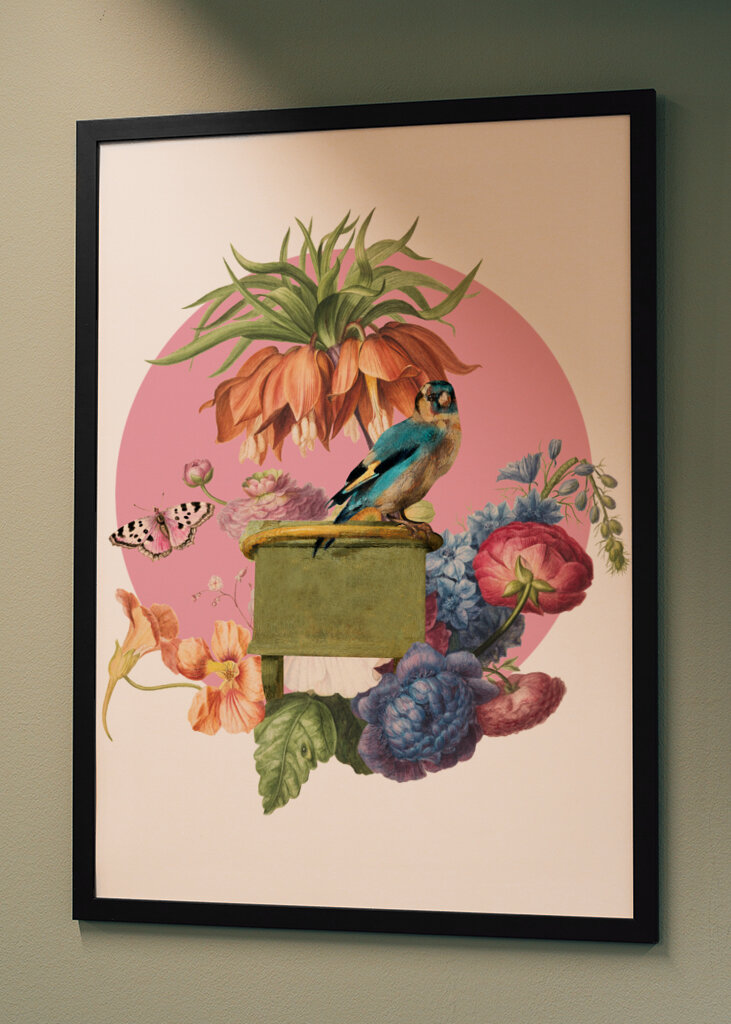 Colorful Bird Perched On A Box