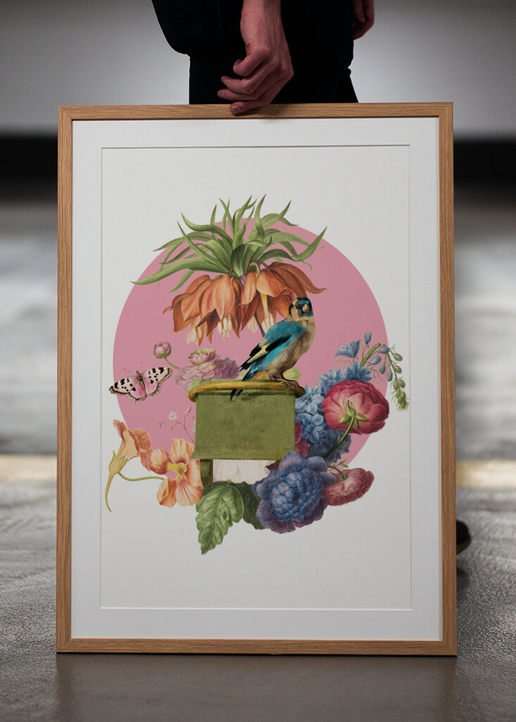 Colorful Bird Perched On A Box