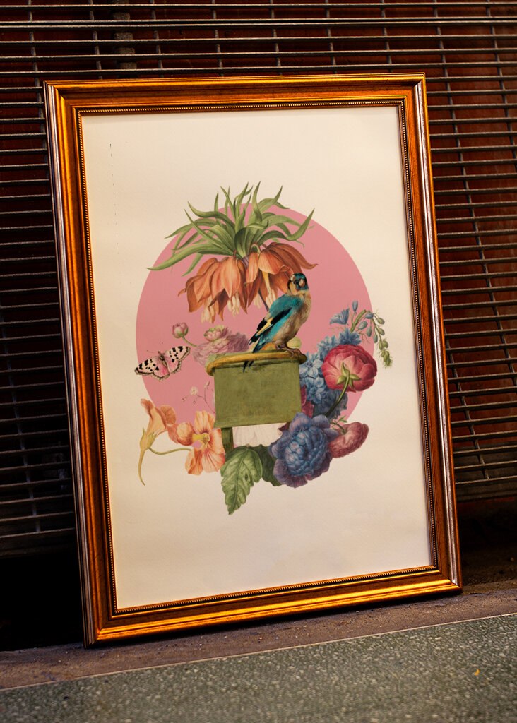 Colorful Bird Perched On A Box