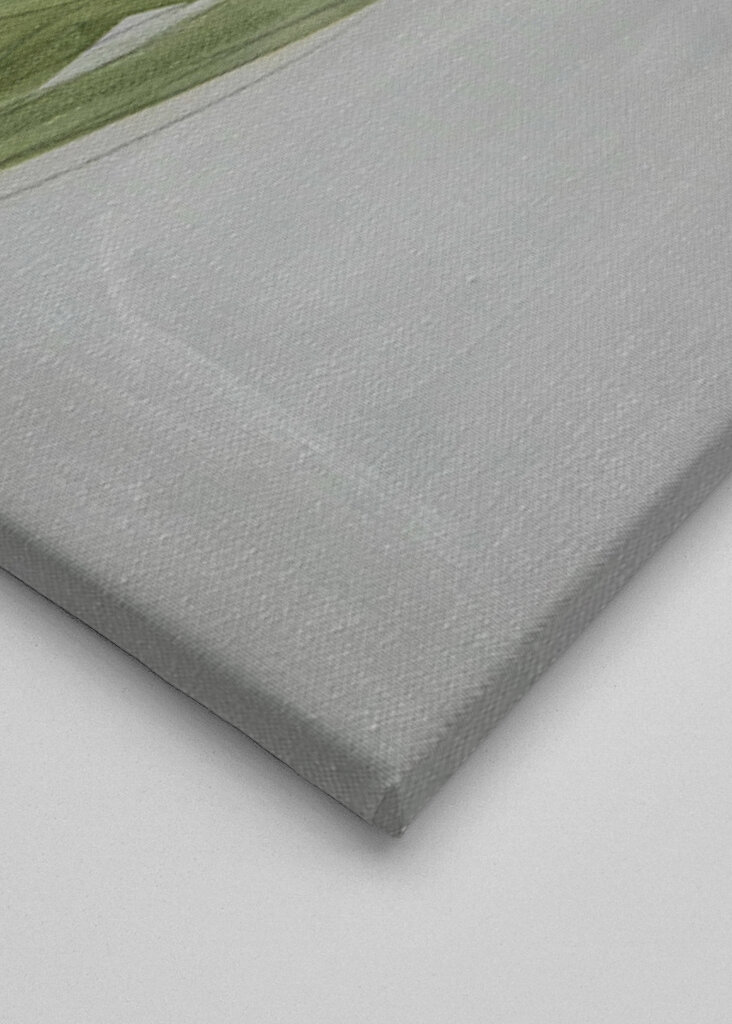 Delicate Bouquet of Daisies