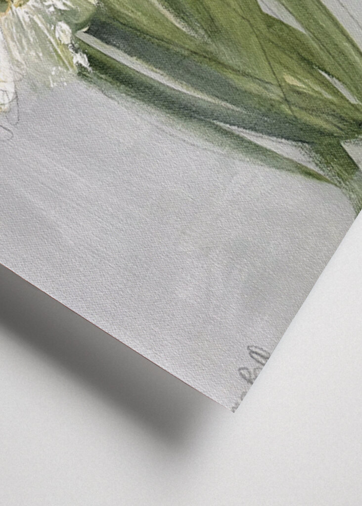 Delicate Bouquet of Daisies