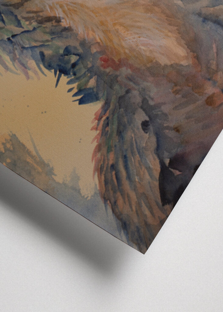 Colorful Feathered Dinosaur