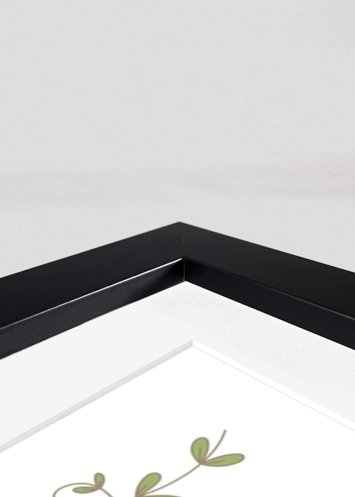 Zebra's Jungle Smile