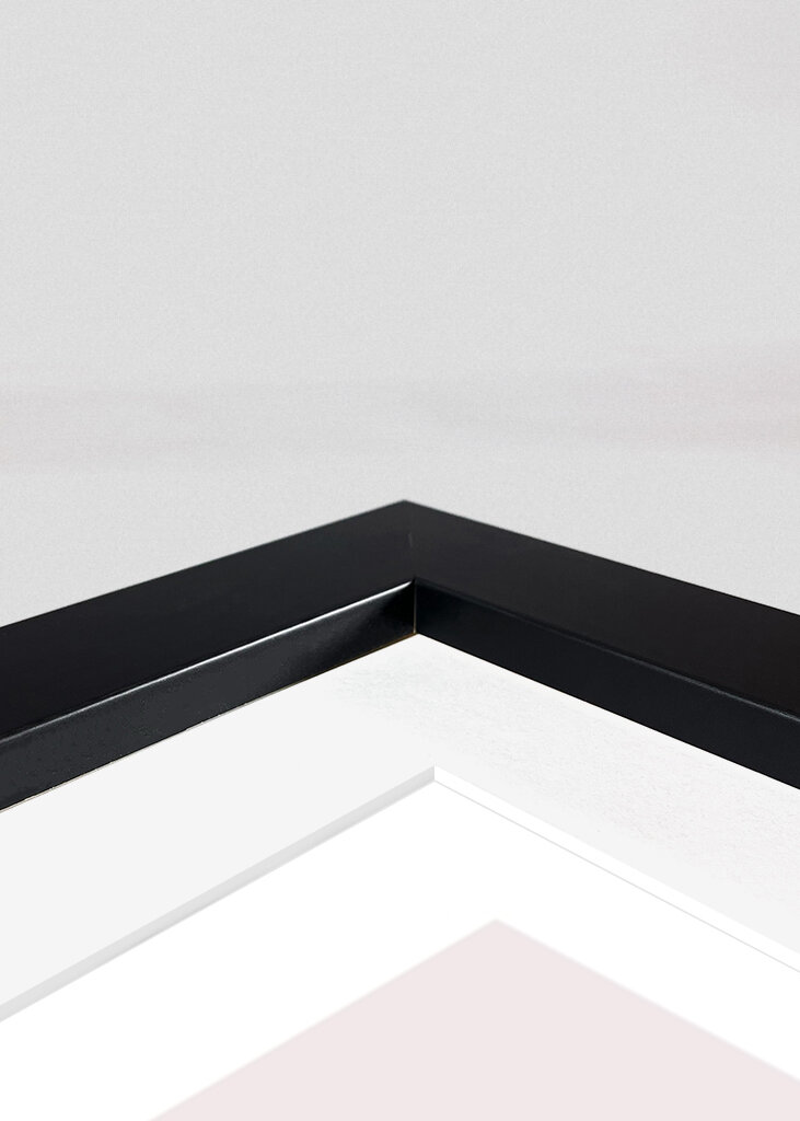 Panda Princess Playtime