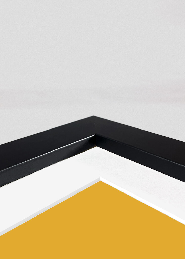 Bold Geometric Shapes