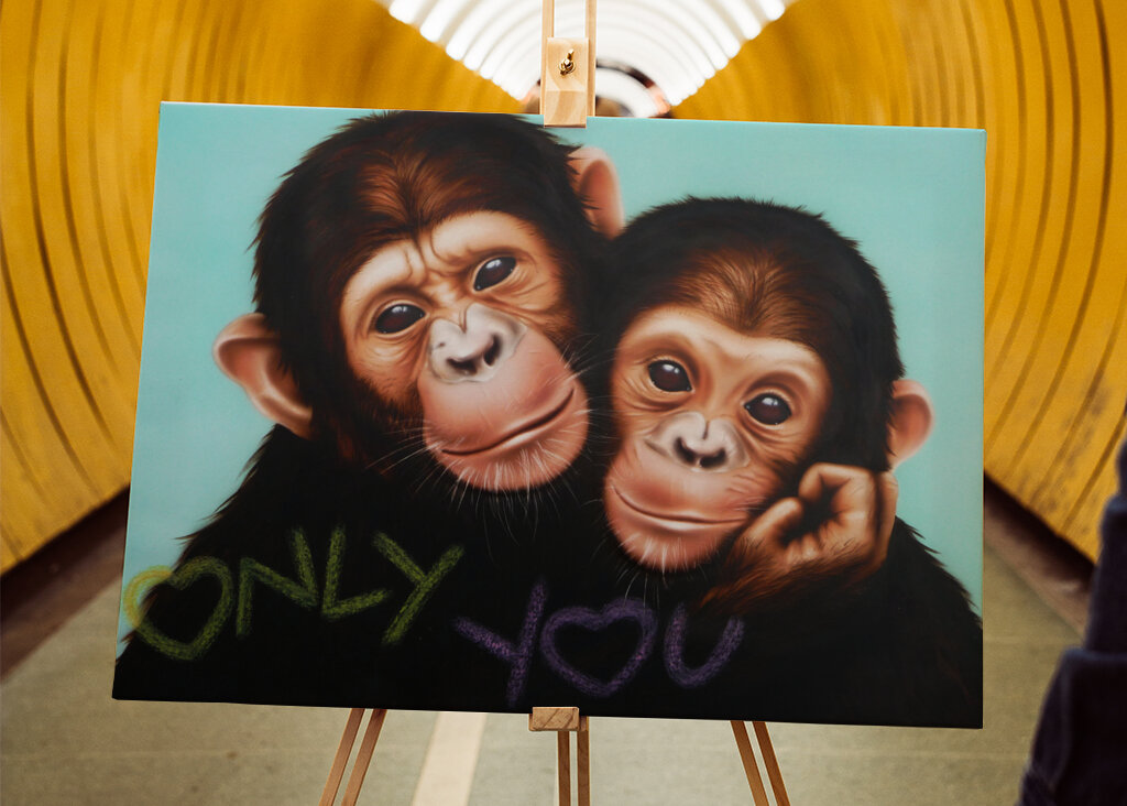 Chimpanzee Companions