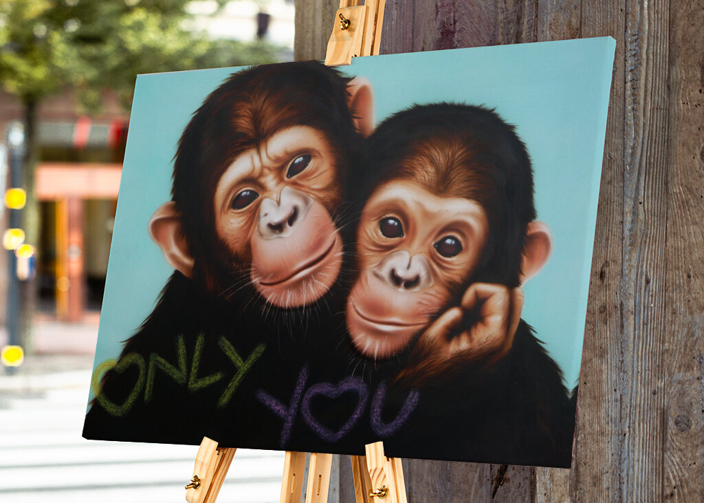 Chimpanzee Companions