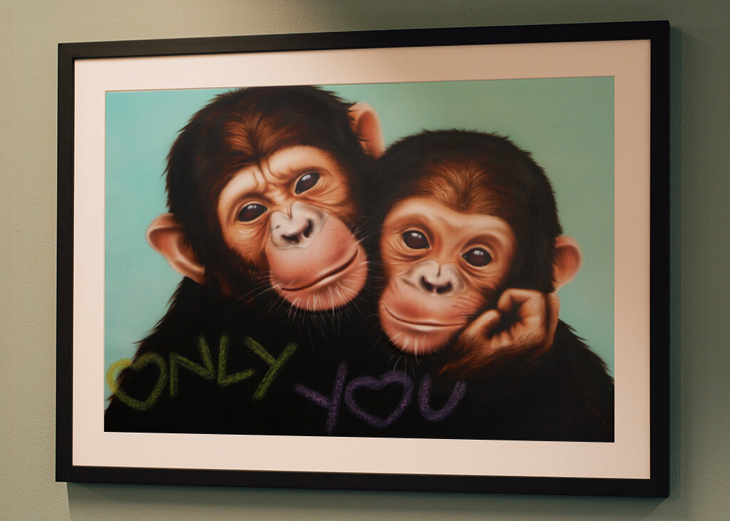 Chimpanzee Companions