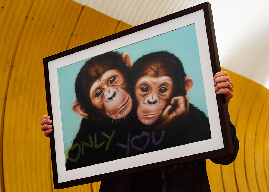 Chimpanzee Companions