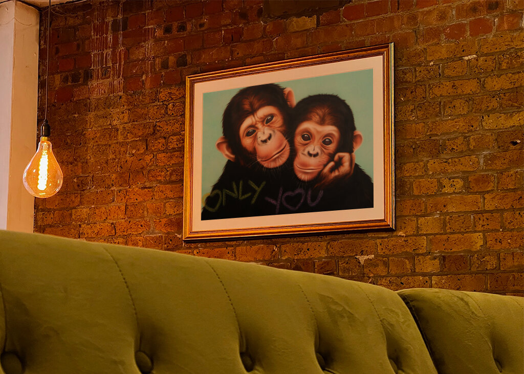 Chimpanzee Companions