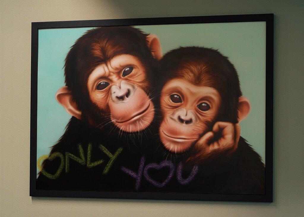 Chimpanzee Companions