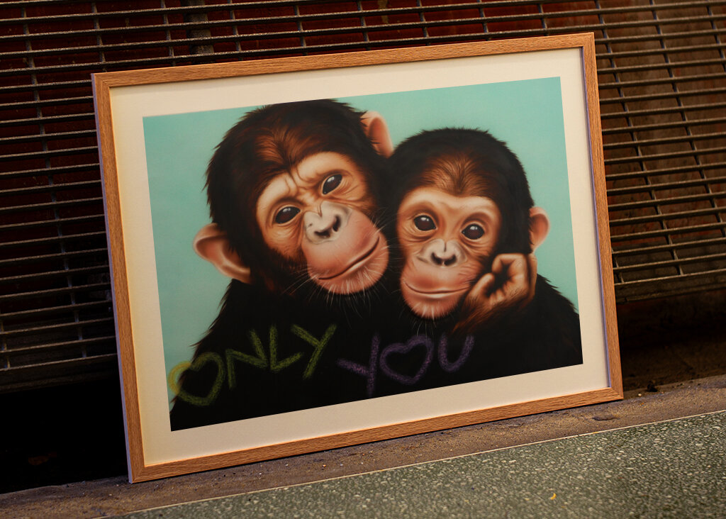 Chimpanzee Companions