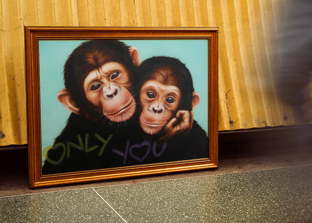 Chimpanzee Companions