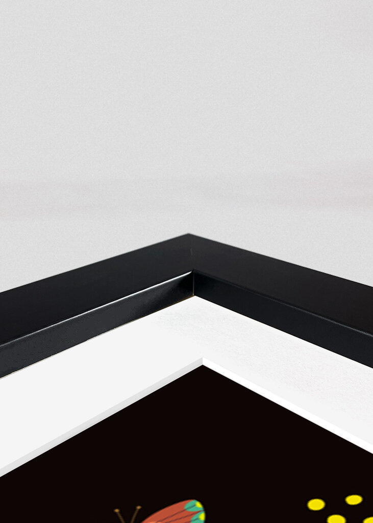 Butterflies &amp; Blooms