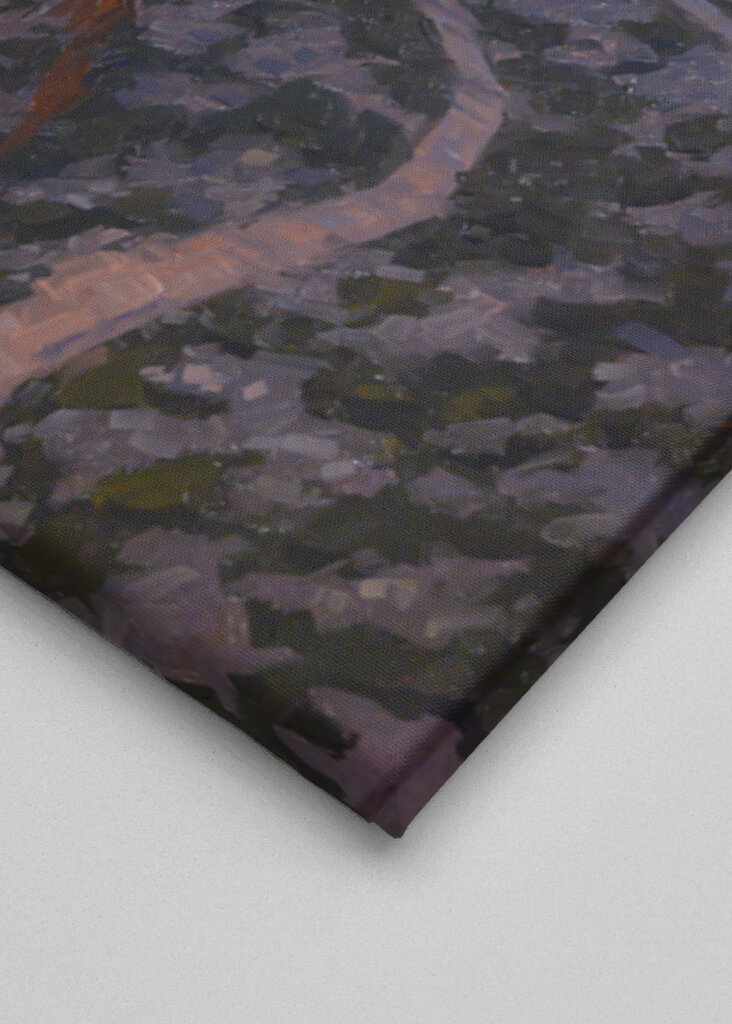 Serpentine Canyon Path