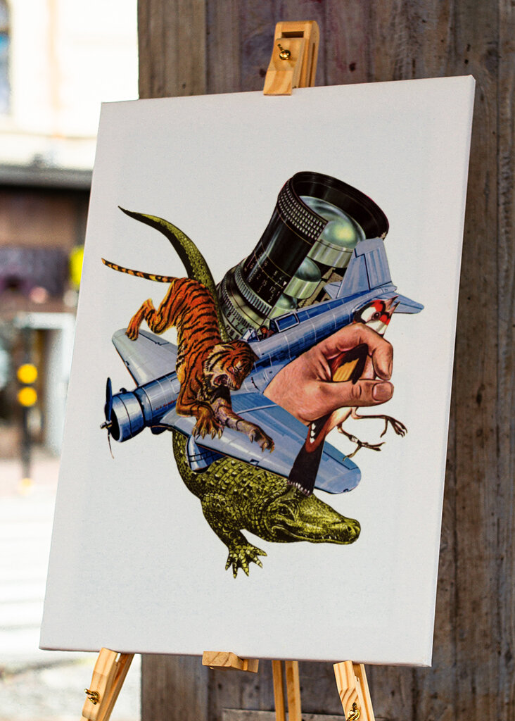 Adventures In Zoology