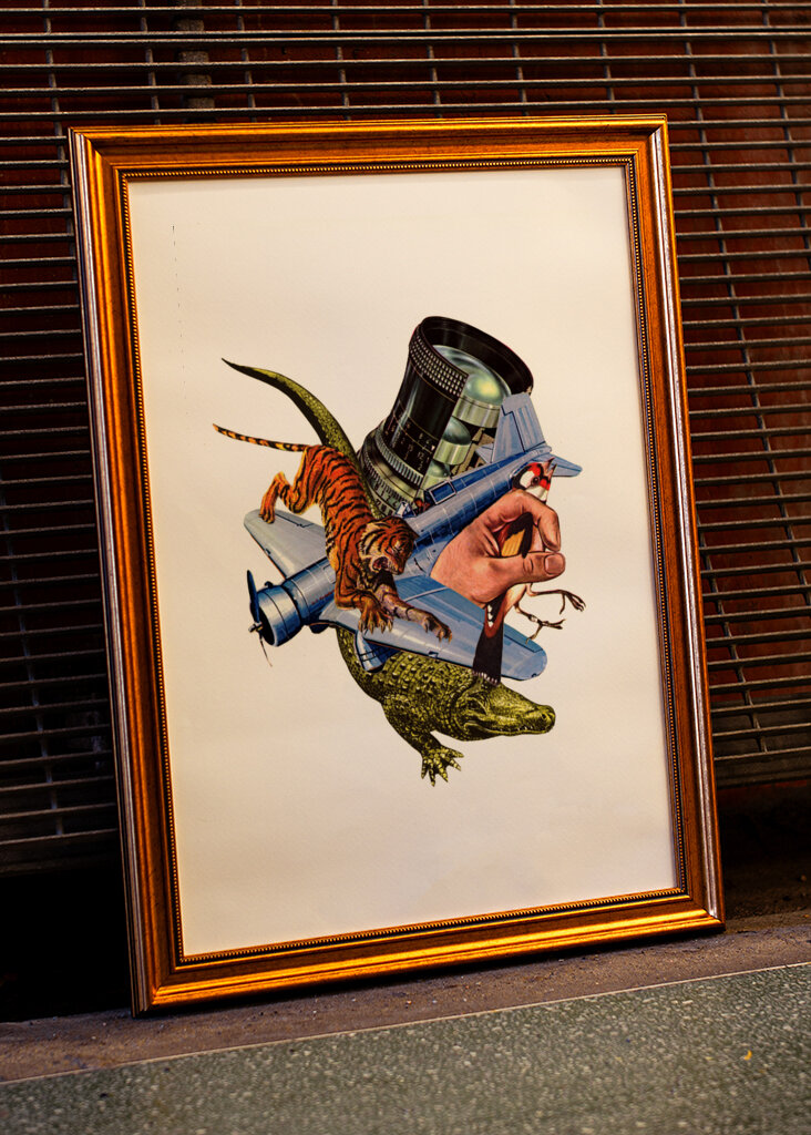 Adventures In Zoology