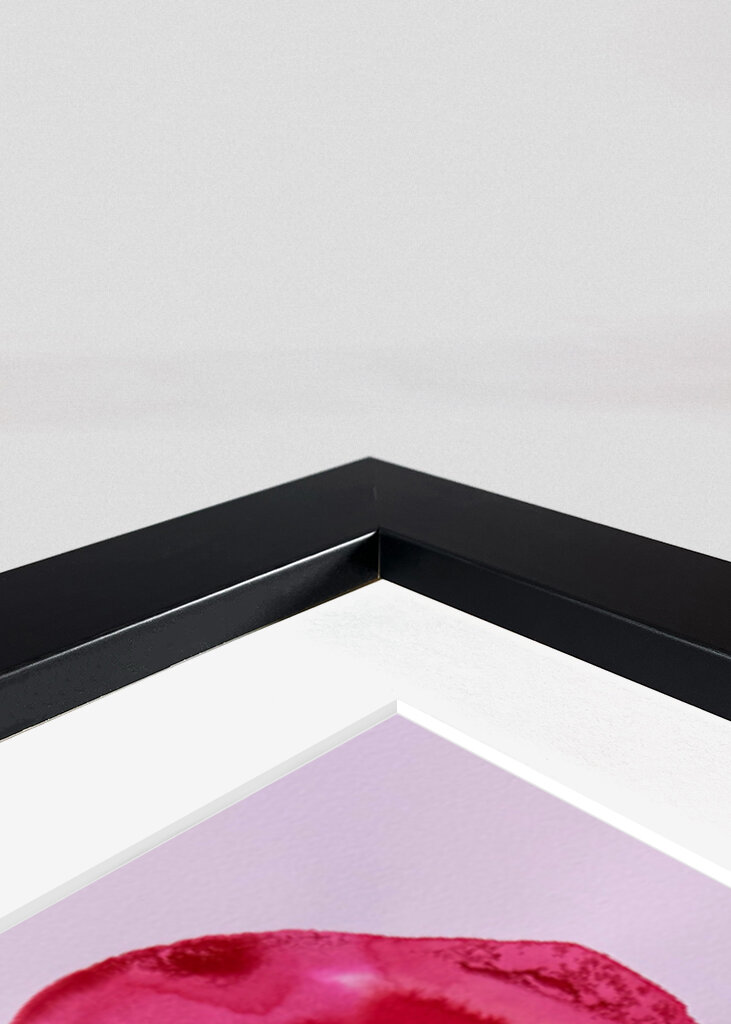 Woman's Face in Shades