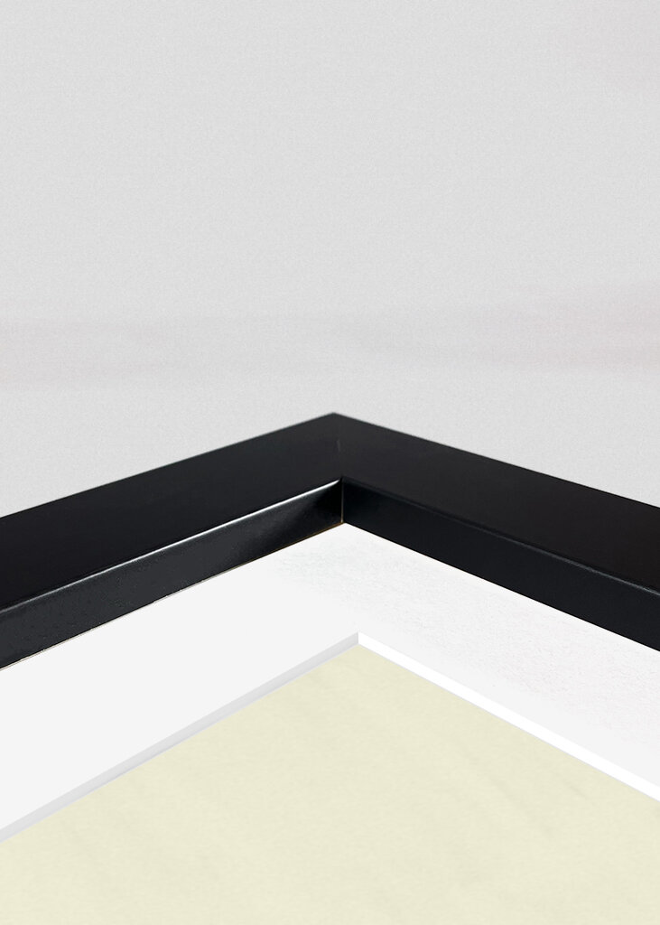 Serene Urban Landscape