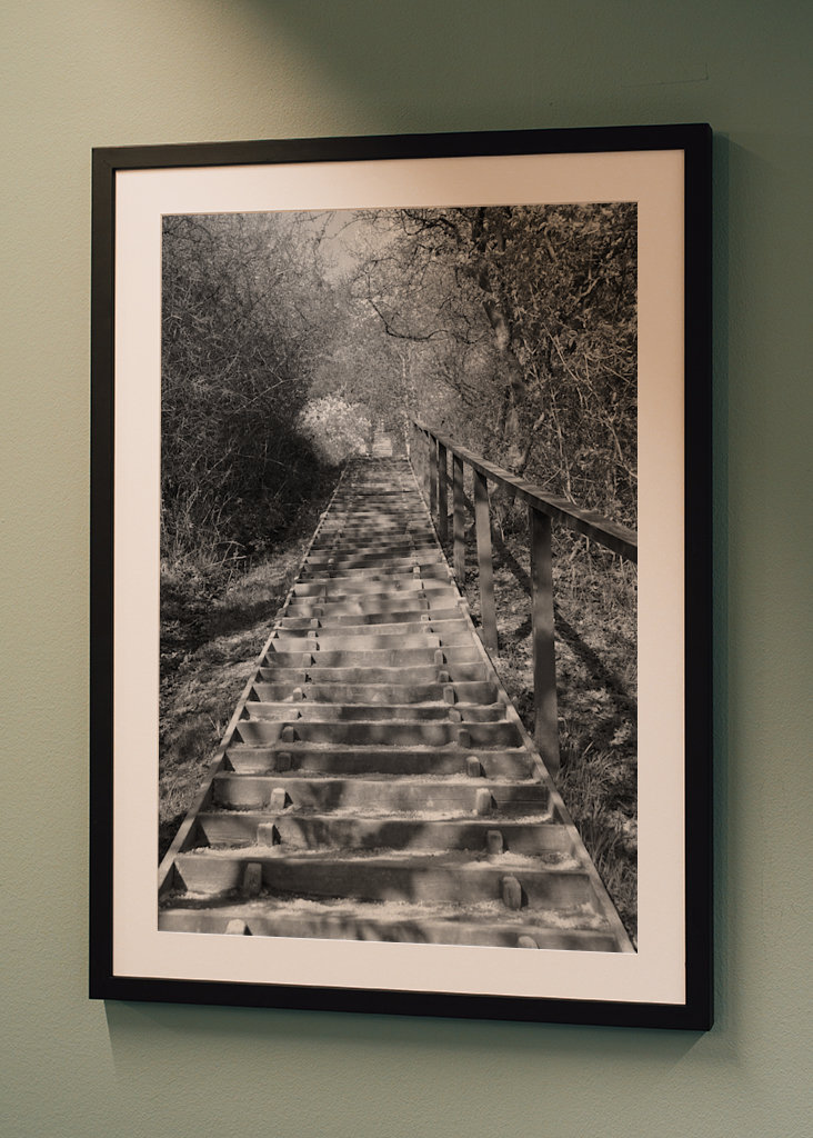 Die Treppe, schwarz und weiß