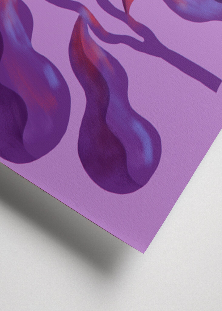 White Flowers and Violet Leaves