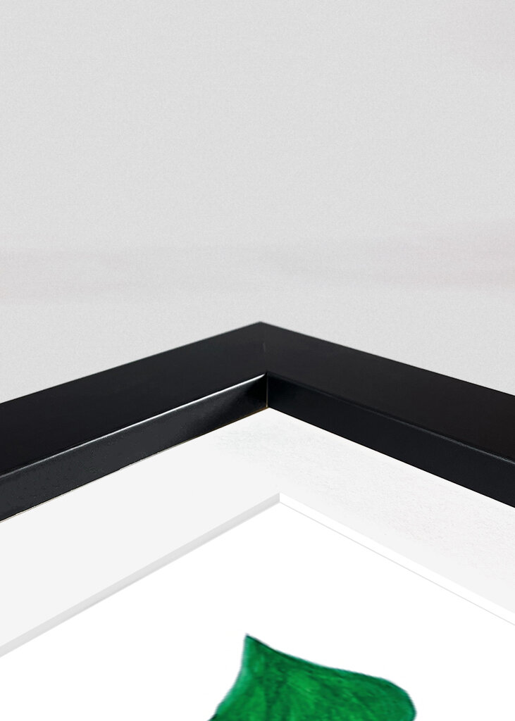 Pink Sunflower with Green Leaves