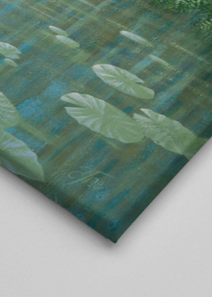 Mysterious Waterfall And Waterlily Pond