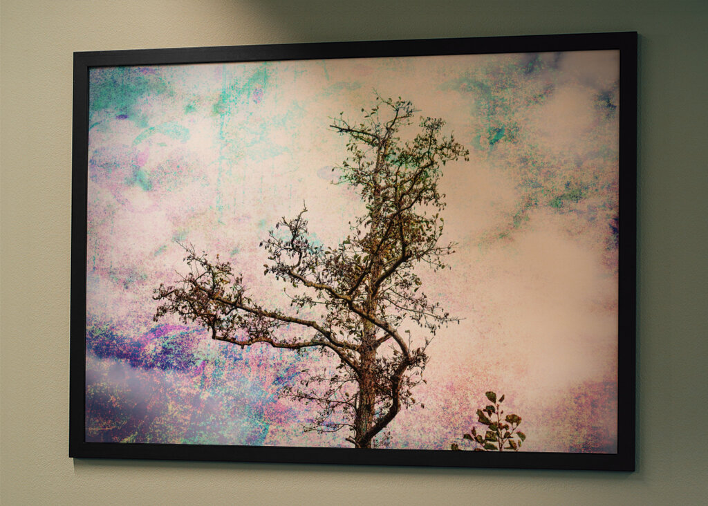 Dreamy Tree Skies