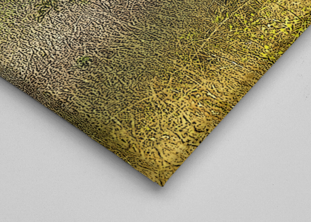 Buffalo in a Grassy Savanna Landscape