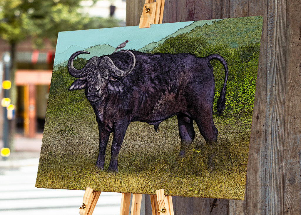 Buffalo in a Grassy Savanna Landscape