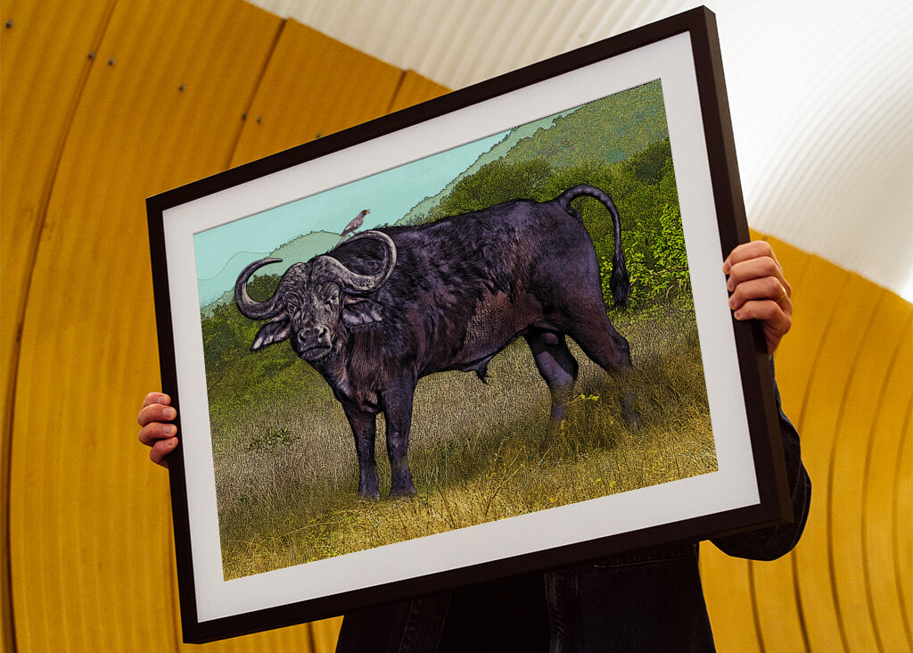 Buffalo in a Grassy Savanna Landscape