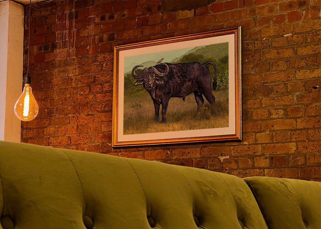Buffalo in a Grassy Savanna Landscape