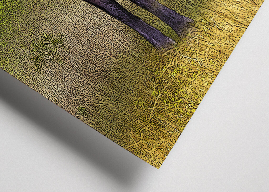 Buffalo in a Grassy Savanna Landscape