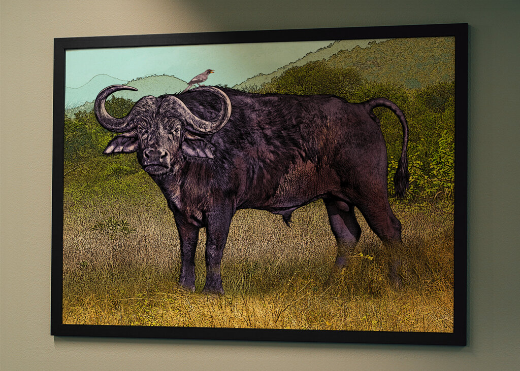 Buffalo in a Grassy Savanna Landscape